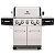 Гриль газовый Broil King REGAL S 590