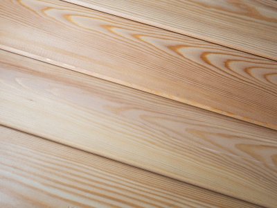 Ледяная ванна "Карелия"