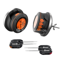 Цифровой четырехканальный термометр Smart Wireless Bluetoth + 2 термощупа Diamond Egg