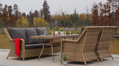 Обеденная группа 4SIS Гляссе Цвет: соломенный